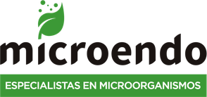 Microendo